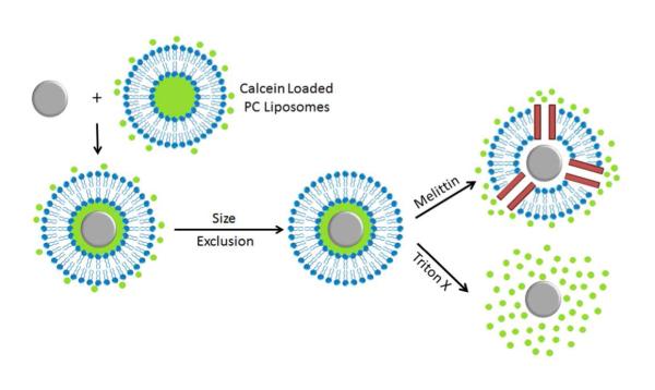 Scheme 3