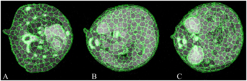 Fig 3