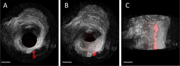 Fig. 9