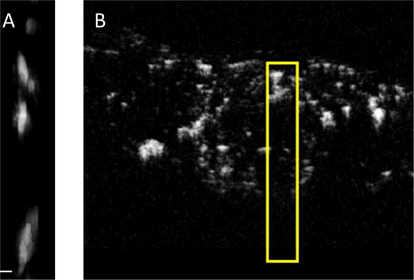 Fig. 10