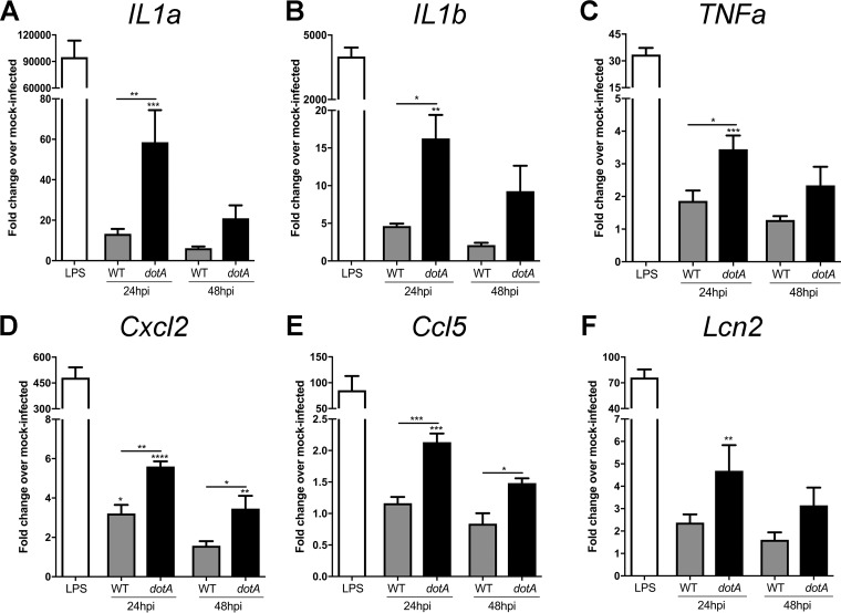 FIG 2