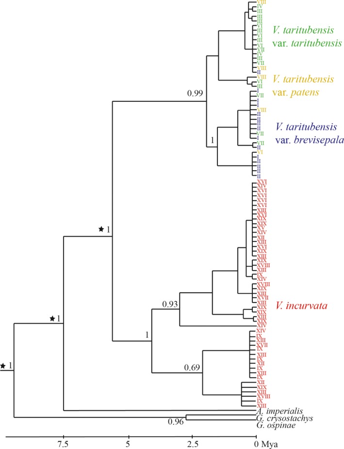 Figure 5