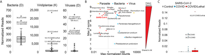 Figure 6