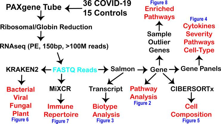 Figure 1