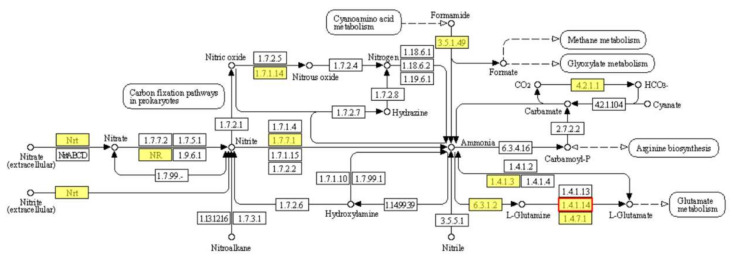 Figure 7