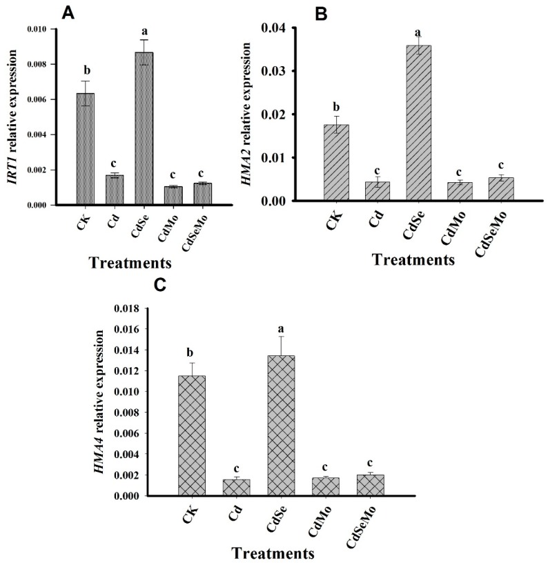 Figure 11