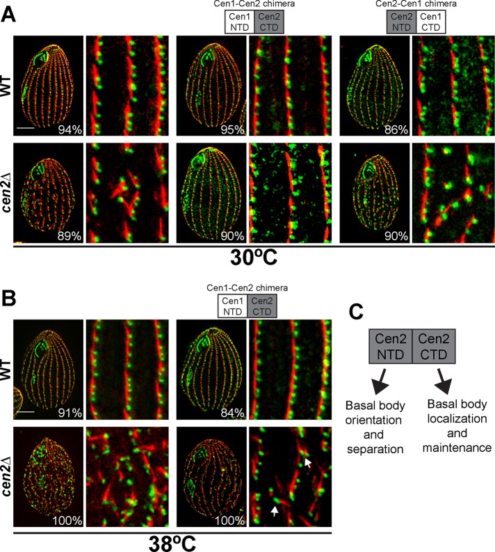 FIGURE 6: