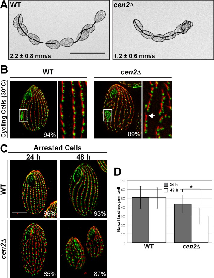 FIGURE 2: