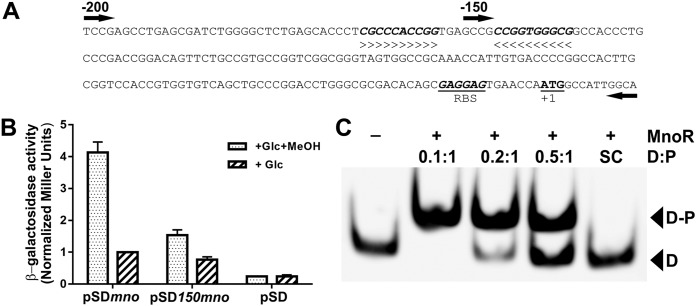 FIG 4