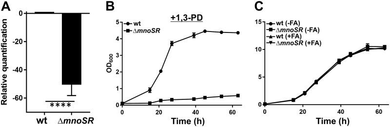 FIG 5