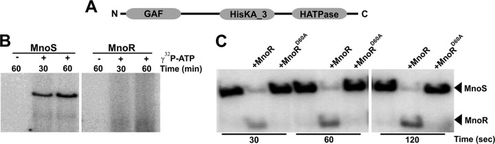 FIG 3