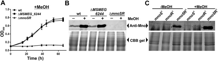 FIG 2