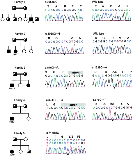 Figure  1