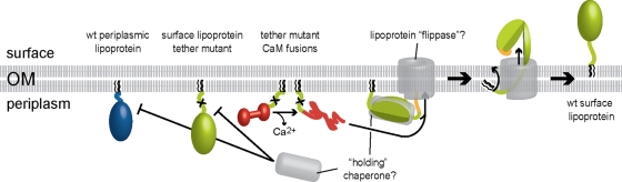 Fig. 6.