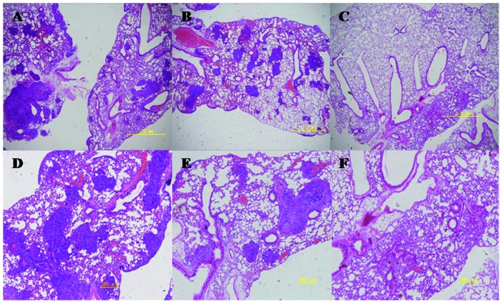 Figure 10.