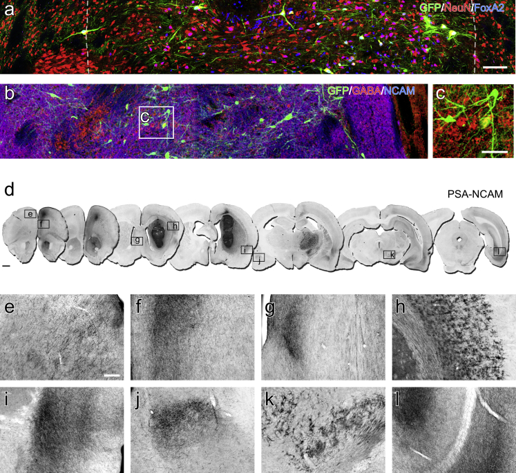 Figure 6