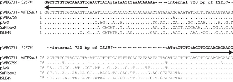 FIG 3