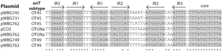 FIG 5