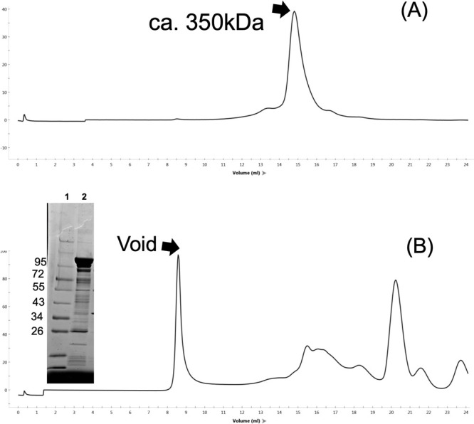 Figure 3 