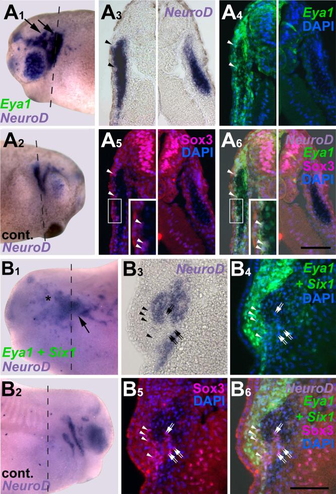 Fig. 10