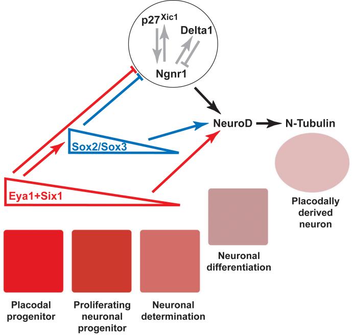 Fig. 12