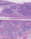 Fig. 2-29