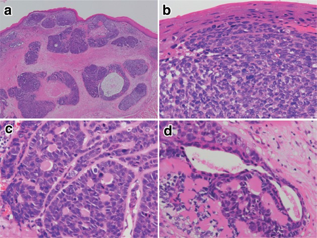 Fig. 2-32