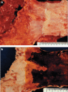 Fig. 2-47