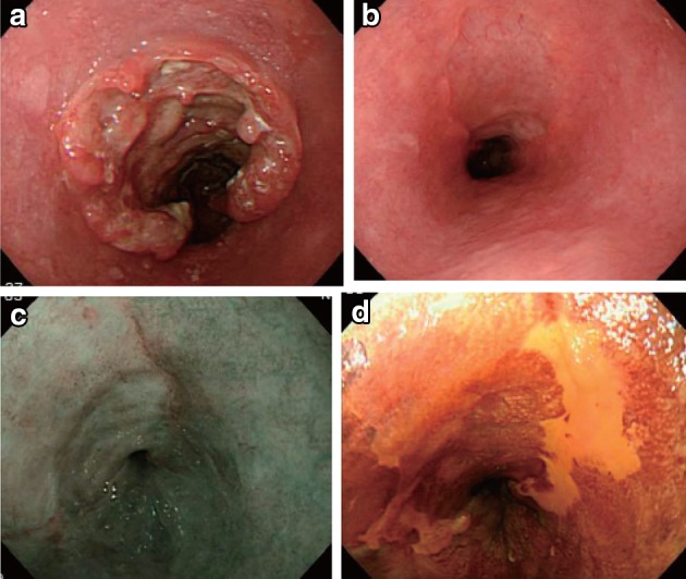 Fig. 3-6