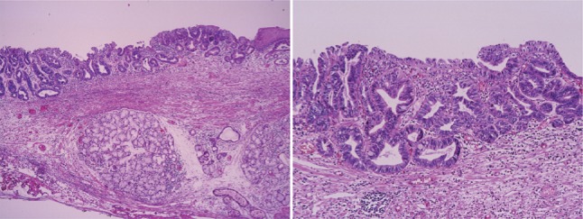 Fig. 2-52