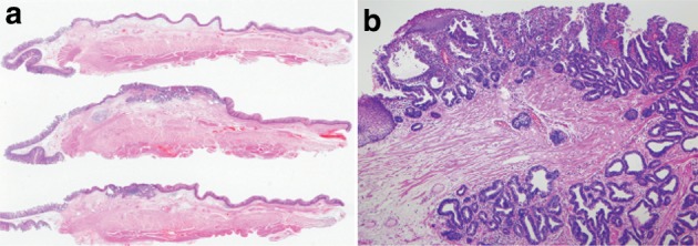 Fig. 2-34