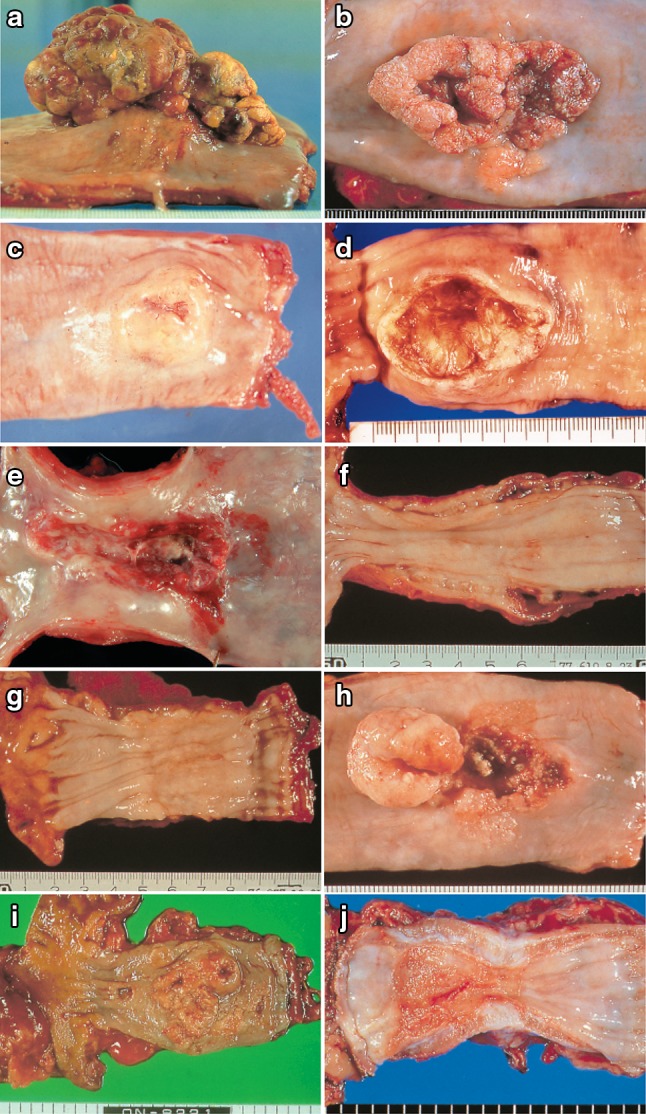 Fig. 2-8