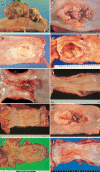 Fig. 2-8