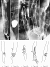 Fig. 2-12
