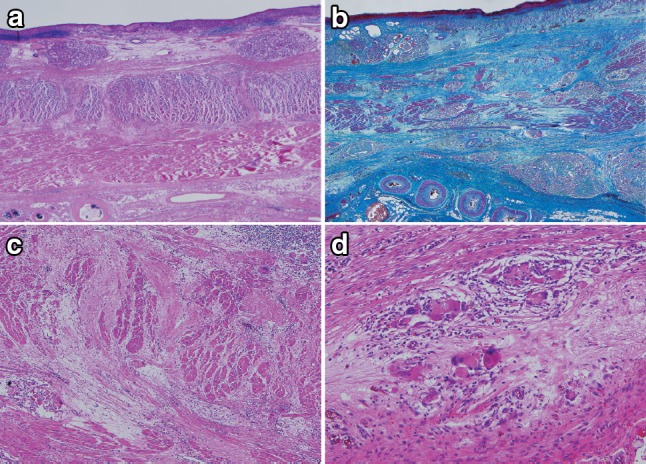 Fig. 2-46