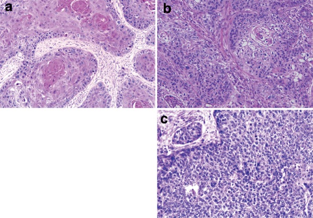 Fig. 2-30