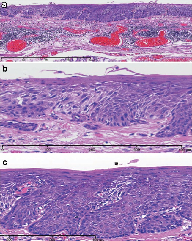 Fig. 2-28