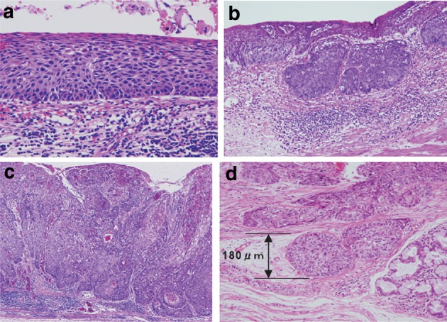 Fig. 2-14