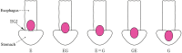 Fig. 2-7