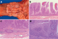 Fig. 2-31