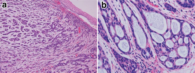 Fig. 2-37