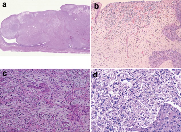 Fig. 2-33