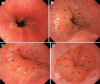 Fig. 2-1