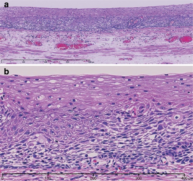 Fig. 2-27