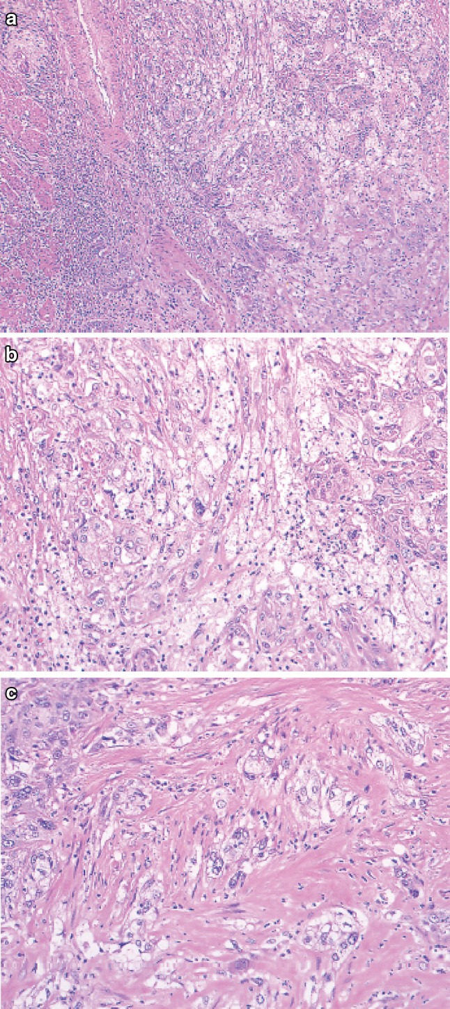 Fig. 2-45