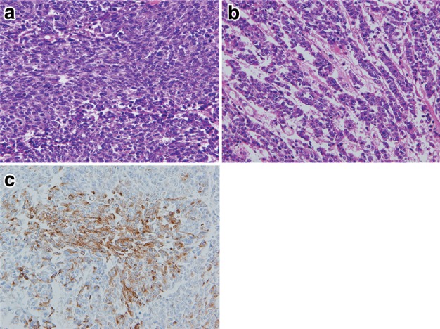 Fig. 2-38