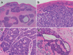 Fig. 2-32