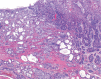 Fig. 2-35