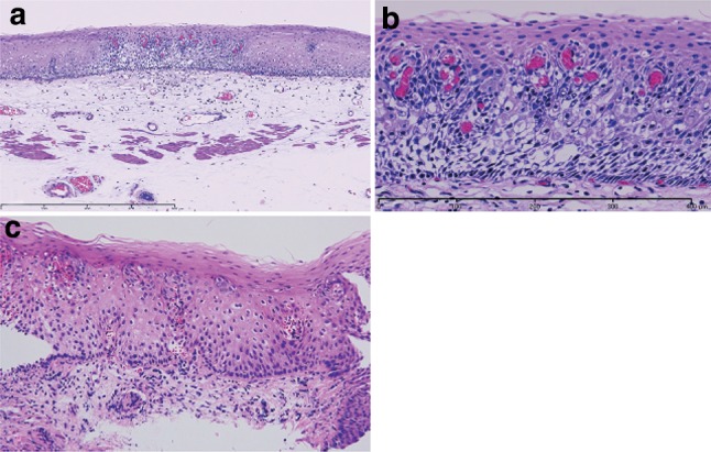 Fig. 2-25