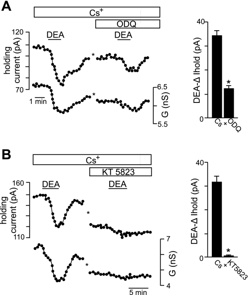 Fig. 6.